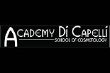 ACADEMY DI CAPELLI ## logo