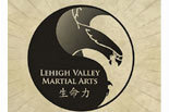 LEHIGH VALLEY MARTIAL ARTS logo