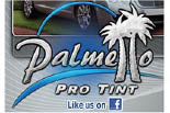 PALMETTO PRO TINT logo