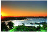 Newport Beach Cruises logo