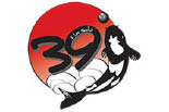 39 DEGREES INC logo