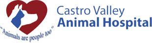 San Francisco Pet Vet Coupons - Animal Clinics Near Me